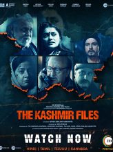 The Kashmir Files (2022) izle