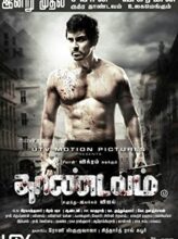 Thaandavam (2012) izle