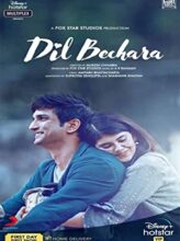 Dil Bechara (2020) izle