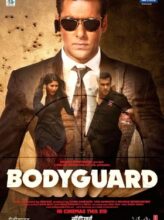 Bodyguard (2011) izle