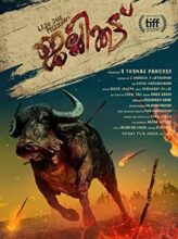 Jallikattu (2019) izle