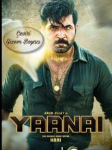 Yaanai (2022) izle