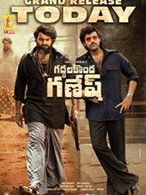 Gaddalakonda Ganesh (2019) izle