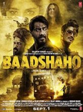 Baadshaho (2017) izle