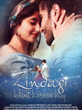 Zindagi Kitni Haseen Hay (2016) izle