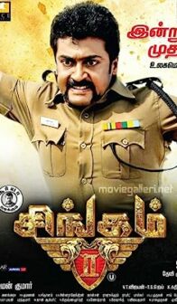 Singam 2 (2013) izle