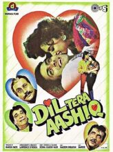 Dil Tera Aashiq (1993) izle