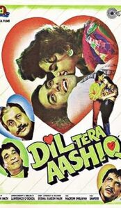 Dil Tera Aashiq (1993) izle