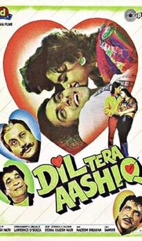 Dil Tera Aashiq (1993) izle