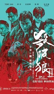 Kill Zone 2 (2015) izle