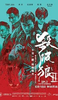 Kill Zone 2 (2015) izle