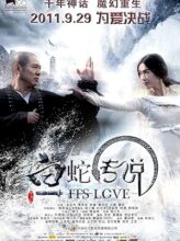 The Sorcerer and the White Snake (2011) izle