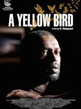 A Yellow Bird (2016) izle