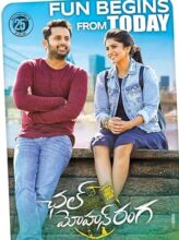 Chal Mohan Ranga (2018) izle