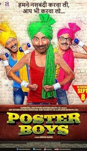 Poster Boys (2017) izle