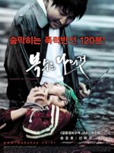 Sympathy for Mr. Vengeance (2002) izle