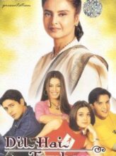 Dil Hai Tumhaara (2002) izle