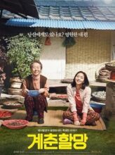 Canola (2016) izle