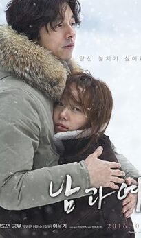A Man and a Woman (2016) izle
