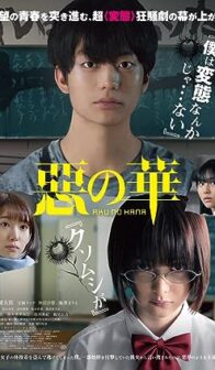 The Flowers of Evil (2019) izle