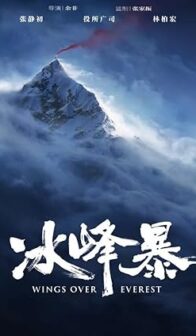 Wings Over Everest (2019) izle