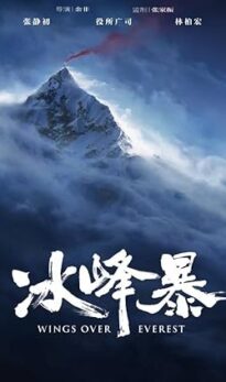 Wings Over Everest (2019) izle