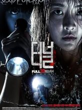 Tunnel (2014) izle