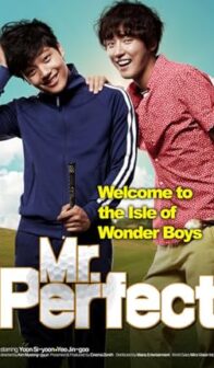 Mr. Perfect (2014) izle