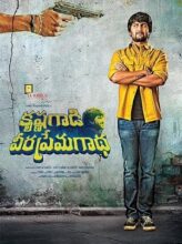 Krishna Gaadi Veera Prema Gaadha (2016) izle