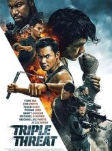 Triple Threat (2019) izle