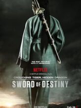 Crouching Tiger, Hidden Dragon: Sword of Destiny (2016) izle