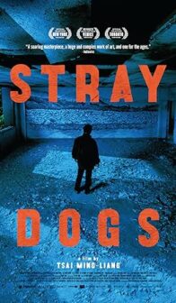 Stray Dogs (2013) izle