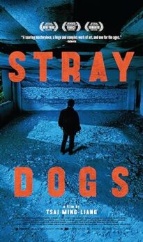 Stray Dogs (2013) izle