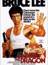 The Way of the Dragon (1972) izle