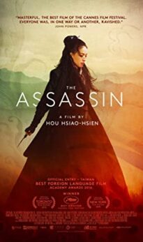 The Assassin (2015) izle