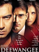 Deewangee (2002) izle