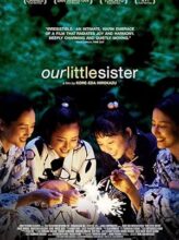 Our Little Sister (2015) izle