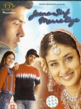 Jeena Sirf Merre Liye (2002) izle