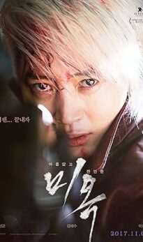 A Special Lady (2017) izle