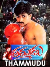 Thammudu (1999) izle