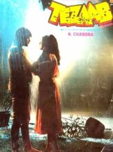 Tezaab (1988) izle