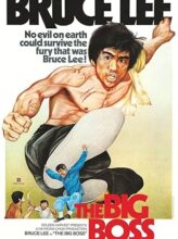 The Big Boss (1971) izle