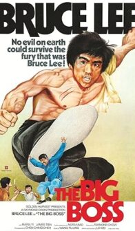 The Big Boss (1971) izle