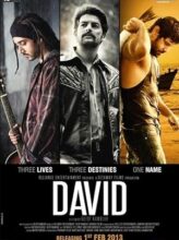 David (2013) izle