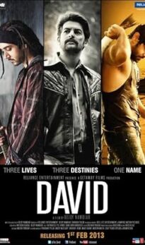 David (2013) izle