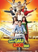 Gali Gali Chor Hai (2012) izle