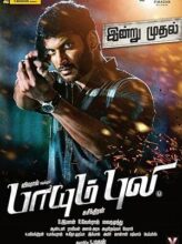 Paayum Puli (2015) izle