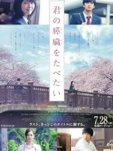 Let Me Eat Your Pancreas (2017) izle