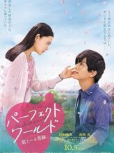 Perfect World (2018) izle