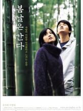 One Fine Spring Day (2001) izle